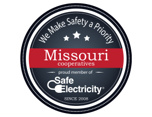 safe electricity badge