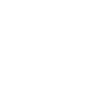 safety icon